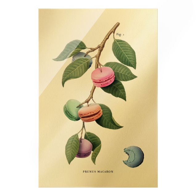 Tableaux de Jonas Loose Plante vintage - Macaron
