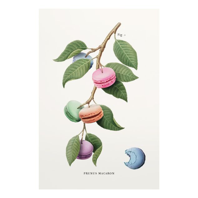 Tableaux de Jonas Loose Plante vintage - Macaron