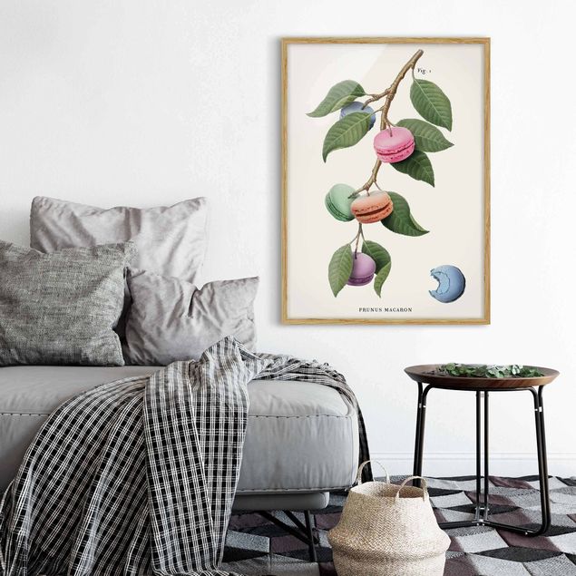 tableaux floraux Plante vintage - Macaron
