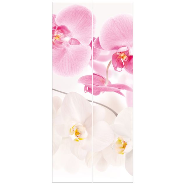 Papiers peints modernes Orchidées délicates