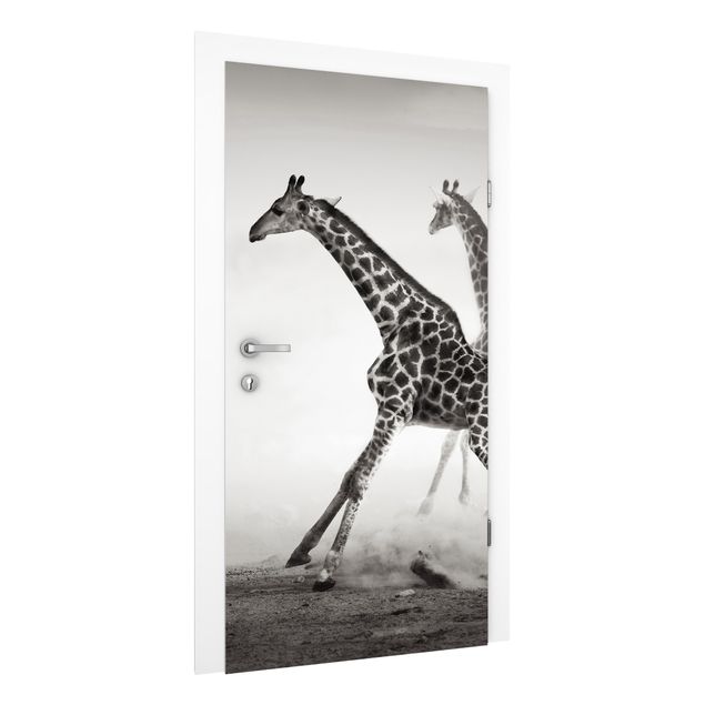 Papier peint panoramique girafe Girafes à la chasse