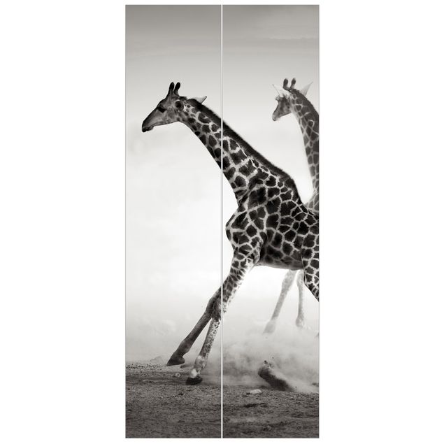 Papiers peints pour portes animaux Girafes à la chasse
