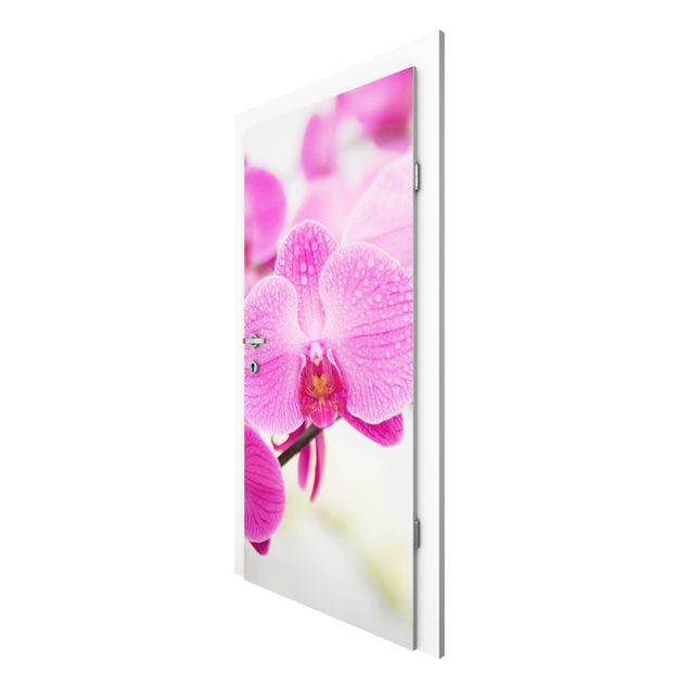 Papiers peints pour portes fleurs Gros plan sur une orchidée