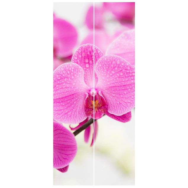 Papiers peints modernes Gros plan sur une orchidée
