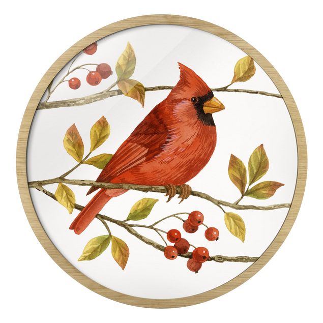 Tableau animaux Oiseaux et baies - Cardinal du Nord