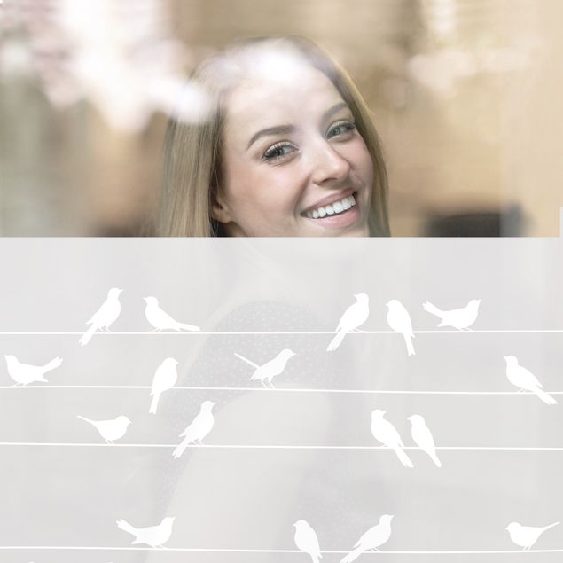Film pour fenêtres - Flock Of Birds