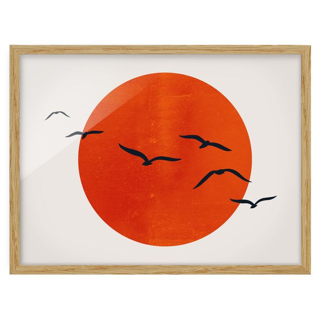 Affiches encadrées animaux Volée d'oiseaux devant le soleil rouge I