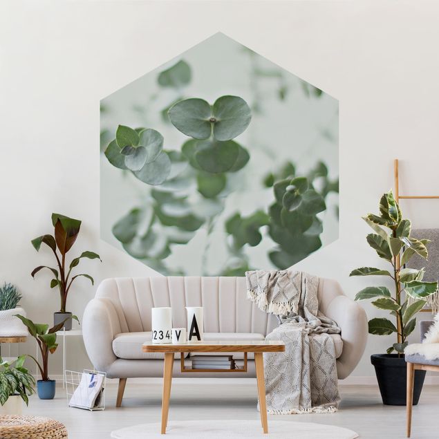 papier peint fleuri Eucalyptus en pleine croissance