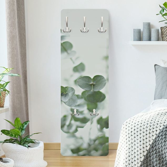 Porte-manteaux muraux avec fleurs Eucalyptus en pleine croissance