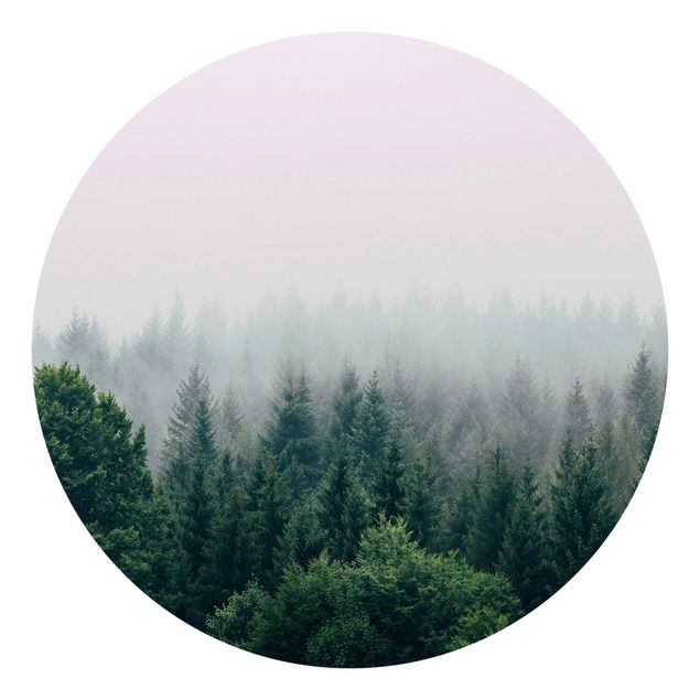 Papier peint panoramique Forêt Brumeuse Crépuscule