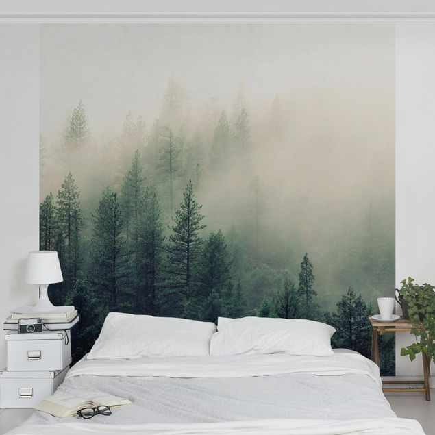 Papier peint forêt Foresta nebbiosa al risveglio