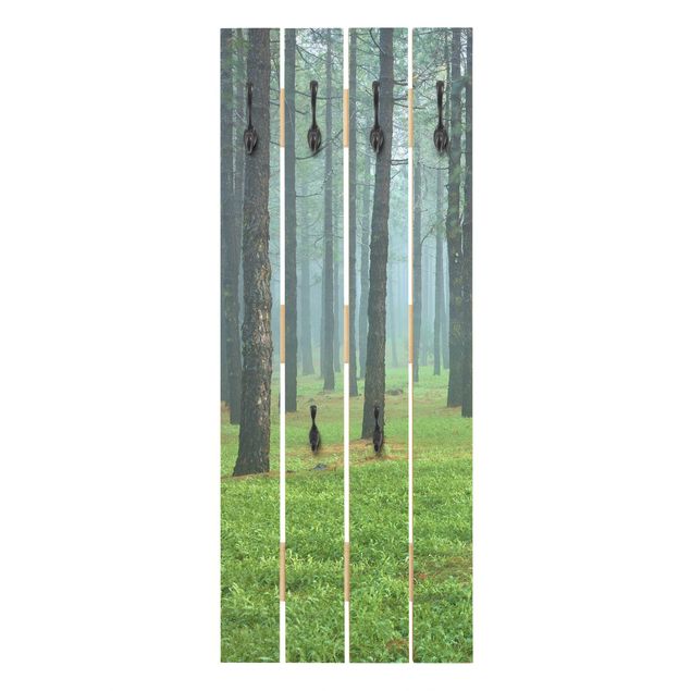 Porte-manteaux muraux verts Forêt profonde avec des pins sur La Palma
