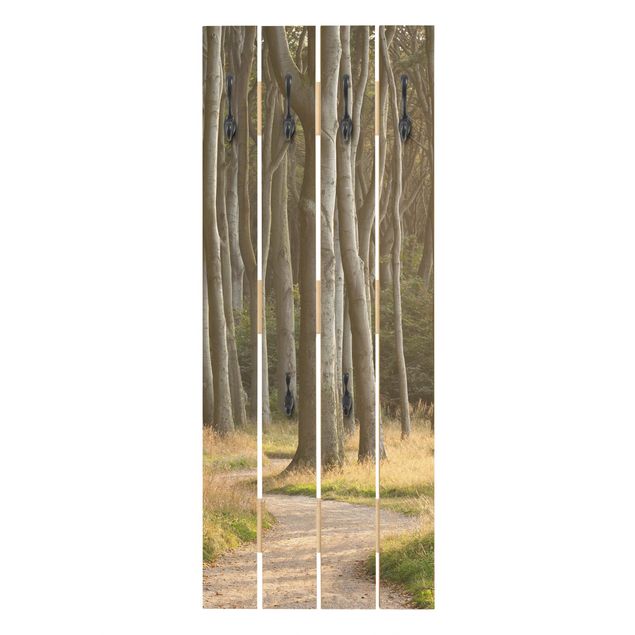 Porte-manteaux muraux beiges Route forestière dans le nord de l'Allemagne