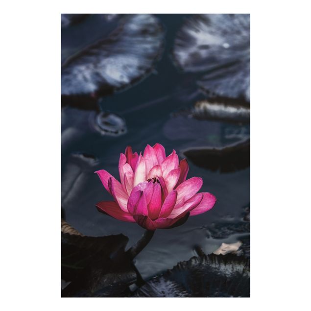 Tableau décoration Water lilies