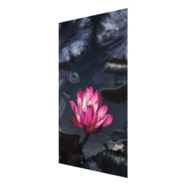 Tableaux en verre magnétique Water lilies