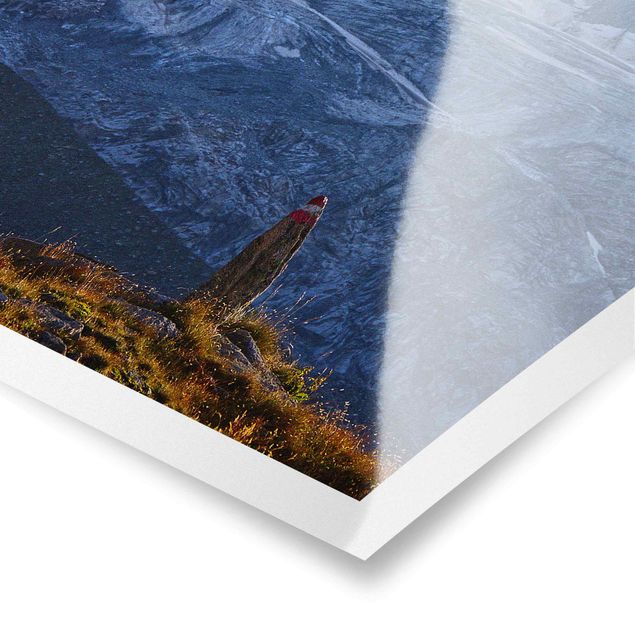 Poster nature paysage Sentier balisé dans les Alpes