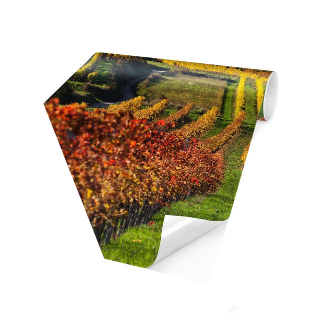 Papier peint panoramique paysage Vue sur le vignoble