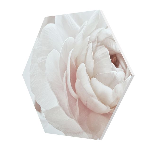 Tableau couleur rose Fleur blanche dans un océan de fleurs