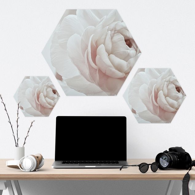Hexagone en forex - White Flower In An Ocean Of Flowers