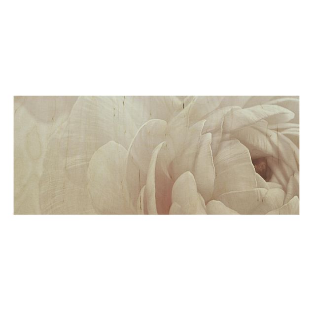 Tableaux en bois avec fleurs Fleur blanche dans un océan de fleurs