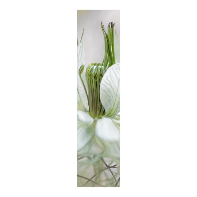 Panneaux coulissants avec fleurs White Nigella