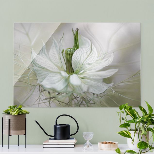 Tableaux en verre fleurs White Nigella