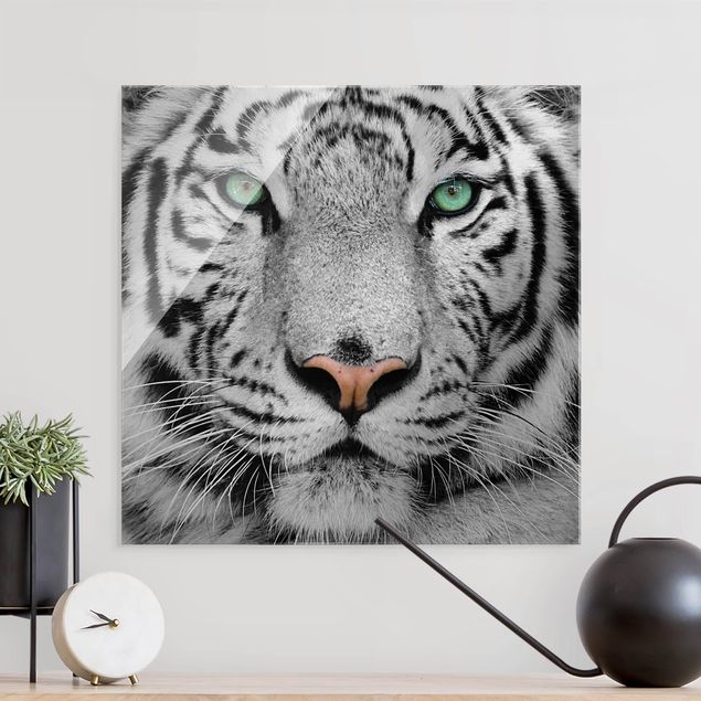 Tableau tigre Tigre Blanc