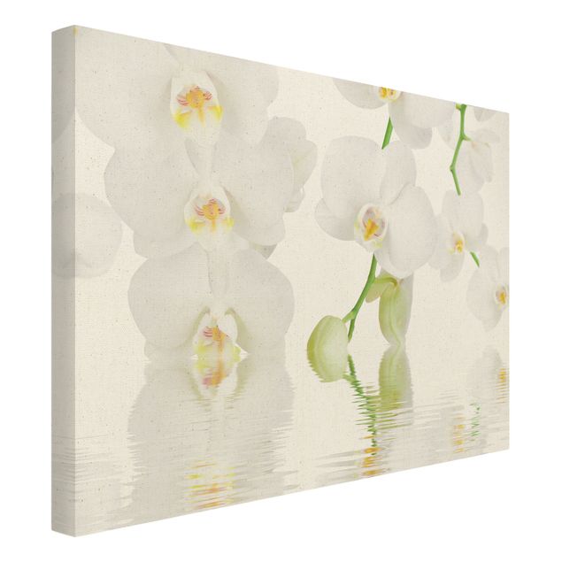 Tableaux florals Spa Orchid - Orchidée blanche