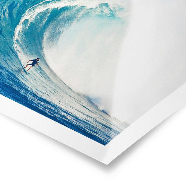 Poster paysage Surf sauvage