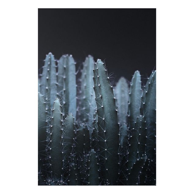 Tableaux modernes Cactus du désert la nuit
