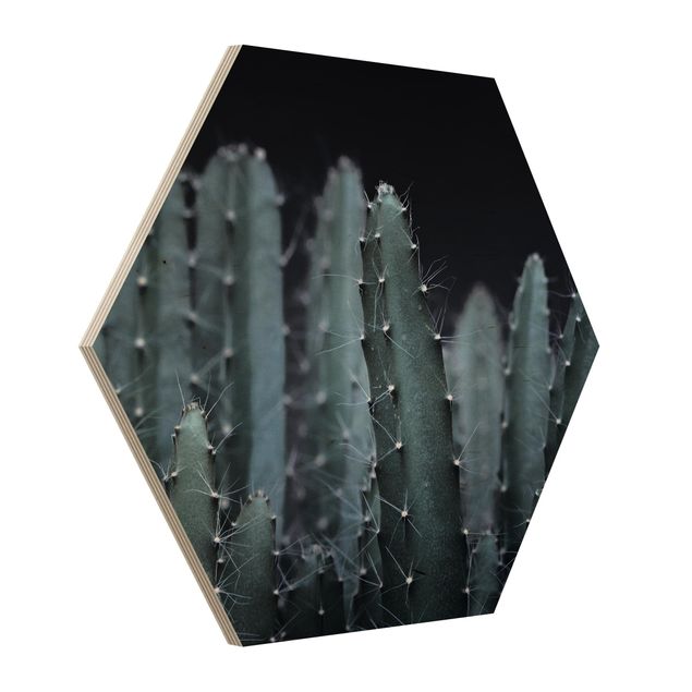Tableau fleurs Cactus du désert la nuit