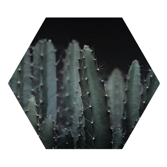 Tableau noir Cactus du désert la nuit