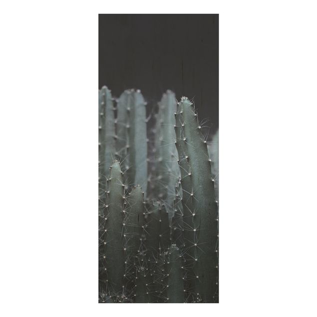 Tableaux en bois avec fleurs Cactus du désert la nuit