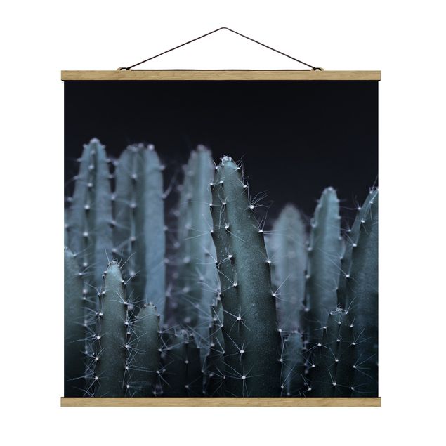 Tableau floral mural Cactus du désert la nuit