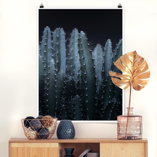 Tableaux modernes Cactus du désert la nuit