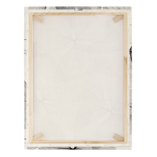 Tableau sur toile naturel - X-Ray - False Shamrock With Cloth - Format portrait 3:4