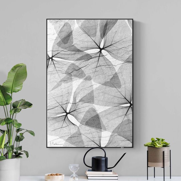 Tableaux florals X-Ray - trèfle triangulaire avec textile