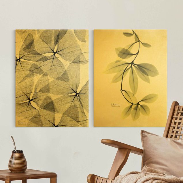 Tableaux moderne Rayons X - Faux trèfle et feuilles de Hoya