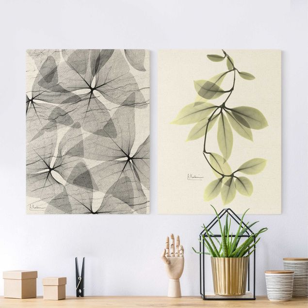 Tableaux moderne Rayons X - Faux trèfle et feuilles de Hoya
