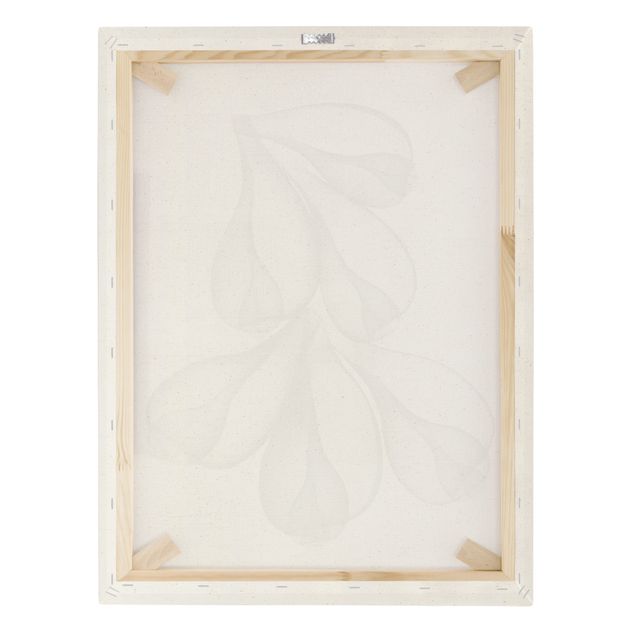 Tableau sur toile naturel - X-Ray - Fig Shells - Format portrait 3:4