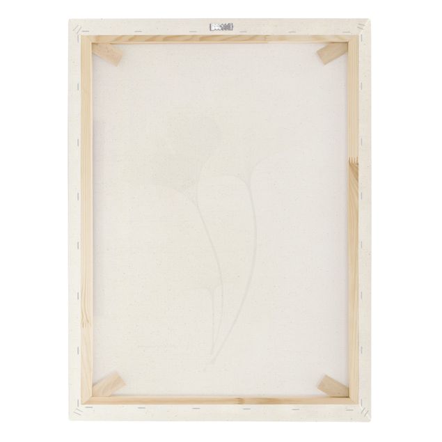 Tableau sur toile naturel - X-Ray - Ginkgo  - Format portrait 3:4