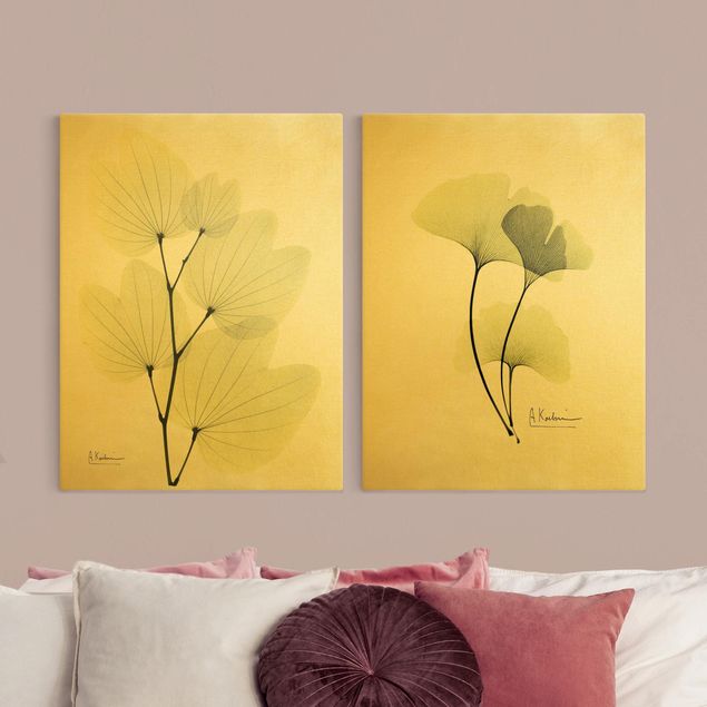 tableaux floraux Rayons X - Feuilles d'Orchidée et Ginkgo