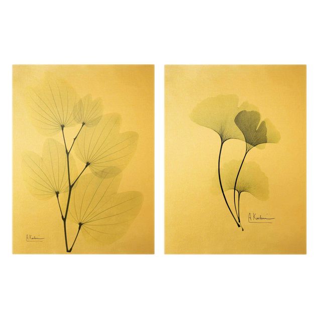 Tableau floral mural Rayons X - Feuilles d'Orchidée et Ginkgo