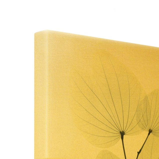 Tableaux muraux Rayons X - Feuilles d'Orchidée et Ginkgo