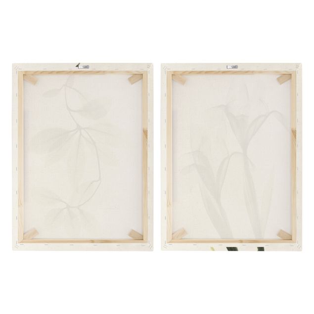 Impression sur toile - X-Ray - Hoya Leaves & Iris