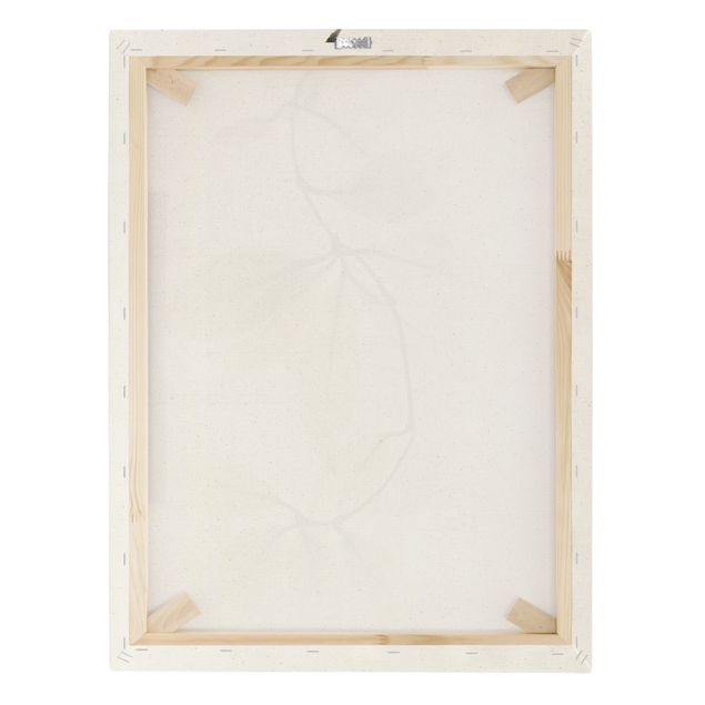 Tableau sur toile naturel - X-Ray - Hoya Leaves - Format portrait 3:4