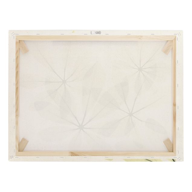 Tableau sur toile naturel - X-Ray - Schefflera - Format paysage 4:3