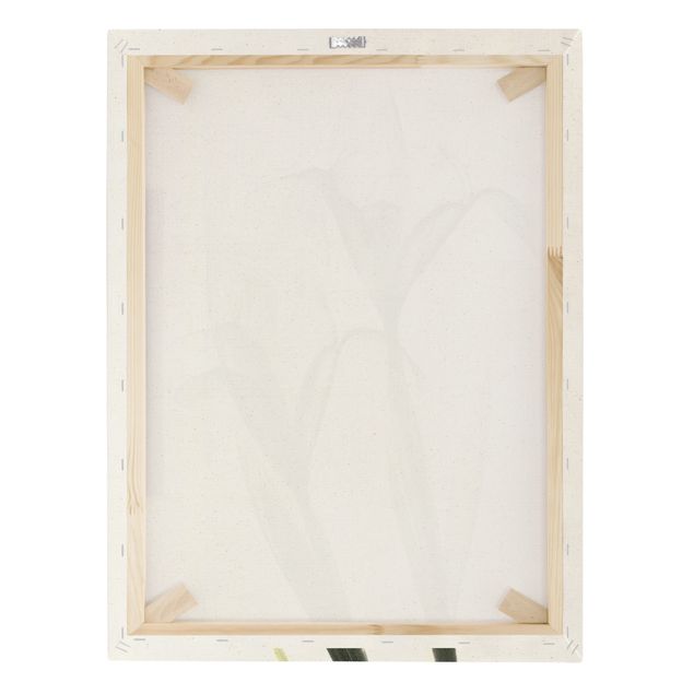 Tableau sur toile naturel - X-Ray - Iris - Format portrait 3:4