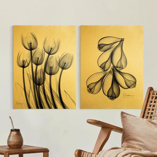 Tableau sur toile fleurs Rayons X - Tulipes et coquilles de figues