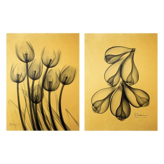 Tableaux muraux Rayons X - Tulipes et coquilles de figues